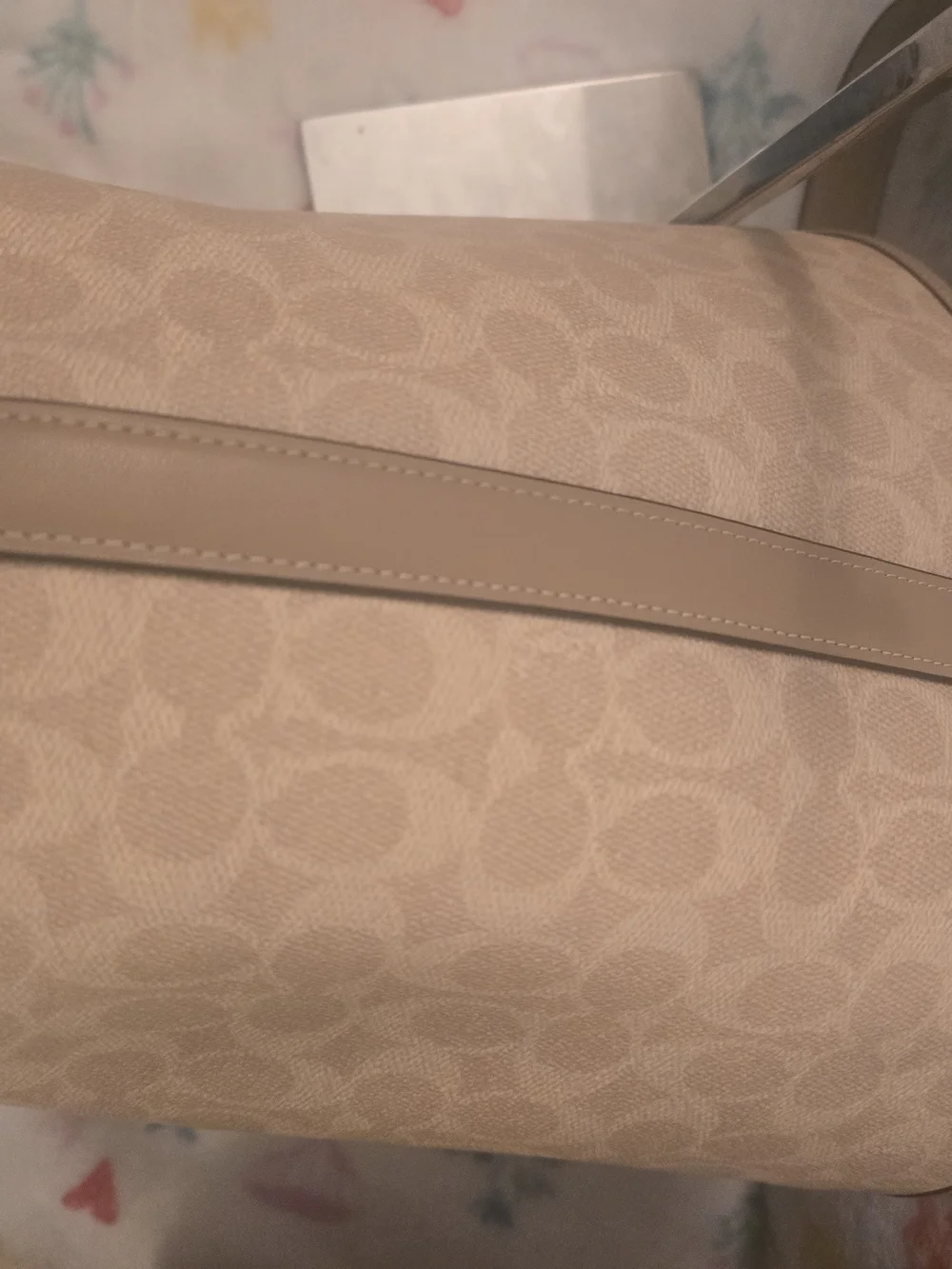 Coach Sand/Taupe Signature Large City Bucket